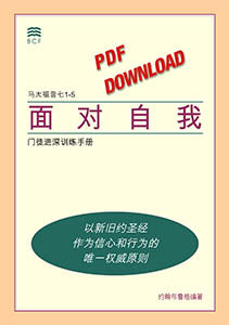 Self-Confrontation Manual (download in PDF format)(Chinese