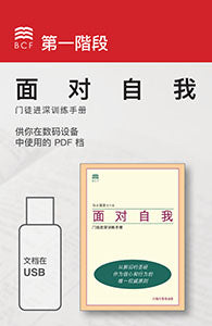 Self-Confrontation Manual (PDF files on USB) (Chinese Simplified)
