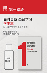 Self-Confrontation Student Workbook (PDF files on USB) (Chinese Simplified)