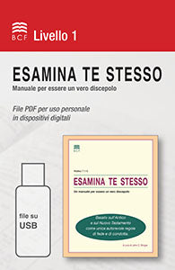 Self-Confrontation Manual (PDF files on USB) (Italian)