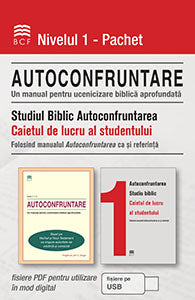 Self-Confrontation Manual/Student Workbook Bundle (PDF files on USB) (Romanian)