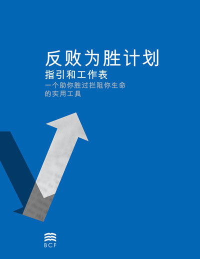 Victory Over Failures Plan Booklet (Chinese Simplified)