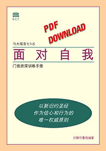 Self-Confrontation Manual (download in PDF format)(Chinese Simplified)