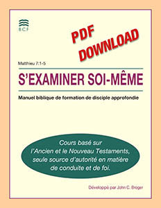 Self-Confrontation Manual (download in PDF format)(French)