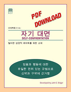 Self-Confrontation Manual (download in PDF format)(Korean)