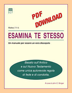Self-Confrontation Manual (download in PDF format)(Italian)